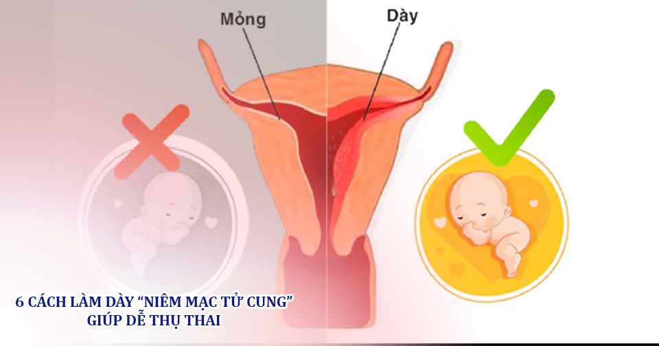 6 cách làm dày niêm mạc tử cung giúp dễ thụ thai