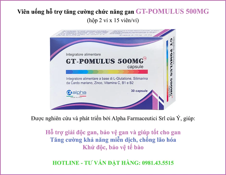Gt-pomulus 500mg giúp hỗ trợ bảo vệ gan, tăng cường chức năng gan và giải độc gan, tăng miễn dịch, chống oxy hóa, bảo vệ tế bào