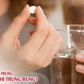 Uống "thuốc kích trứng" sau bao lâu thì trứng rụng?