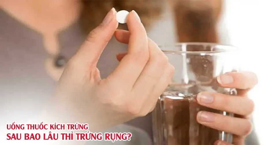 Uống "thuốc kích trứng" sau bao lâu thì trứng rụng?