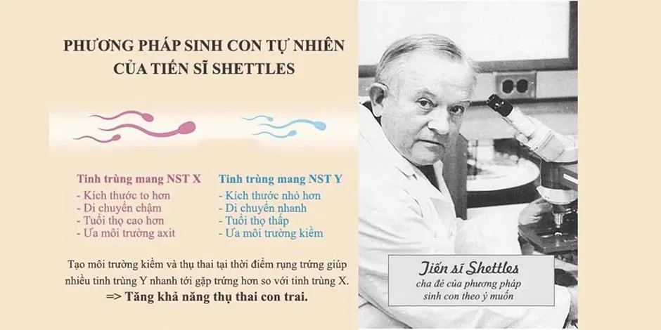 Phương pháp Shettles sinh con theo y muốn